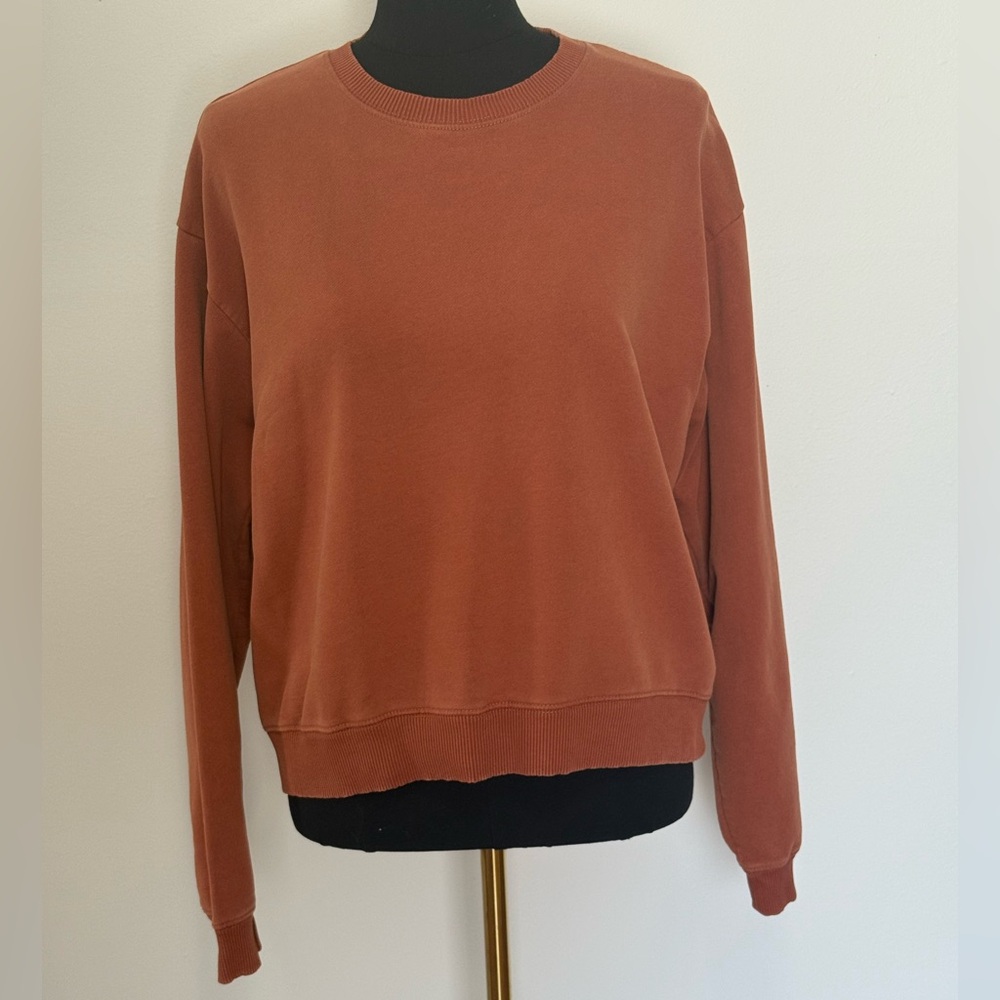 American Eagle Outfitters Terracotta Sweatshirt